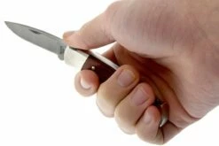 Buck 501 Squire 0501RWS-B, Palisanderholz, Mit Etui -Messer Verkäufe 2024 BUCK0501RWS B 05 buck 501 squire knife buck0501rws b 05