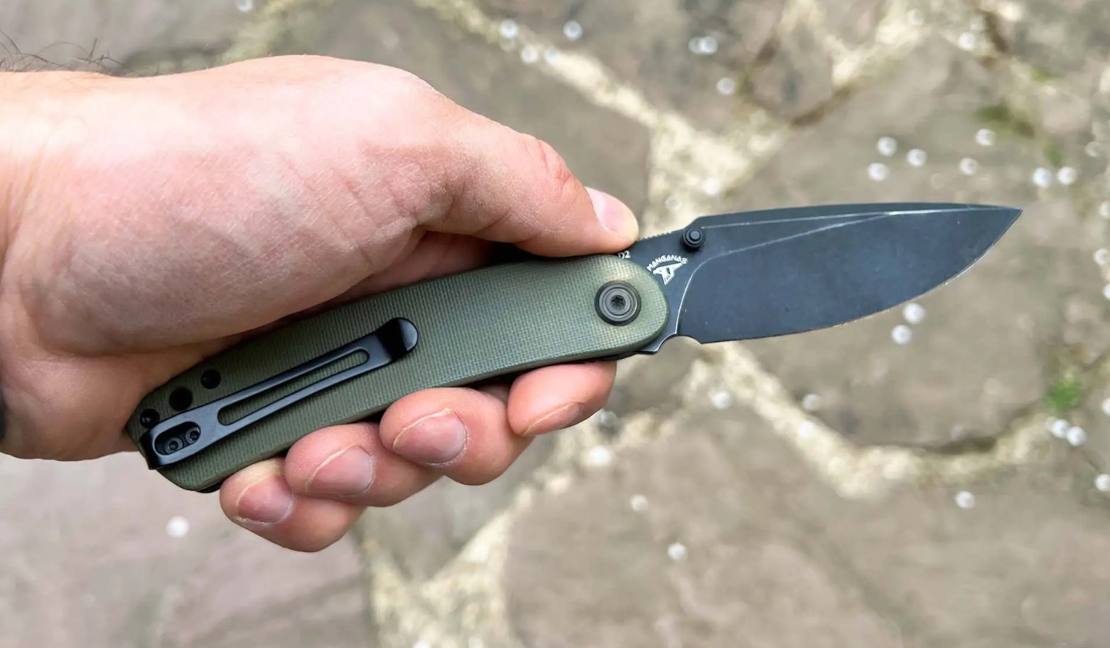 Tiernahrung Outlet Store -Messer Verkäufe 2024 Dingtalk 20240425143110