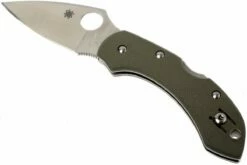 Spyderco Dragonfly G10 C28GPFG Taschenmesser, Foliage Grün