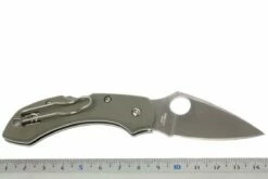 Spyderco Dragonfly G10 C28GPFG Taschenmesser, Foliage Grün 11 Spyderco Dragonfly G10 C28GPFG Taschenmesser, Foliage Grün -Messer Verkäufe 2024 SPC28GPFG 05 spyderco dragonfly2 foliage green spc28gpfg d5