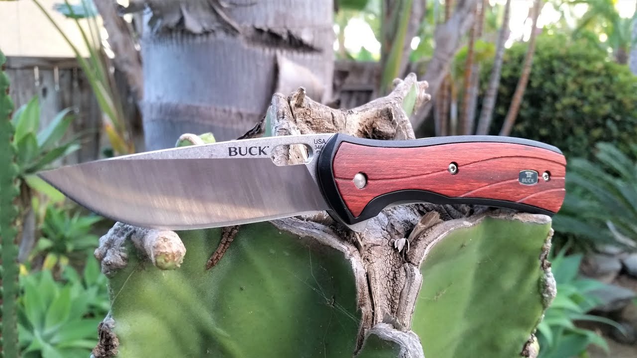 Tiernahrung Outlet Store -Messer Verkäufe 2024 maxresdefault 2